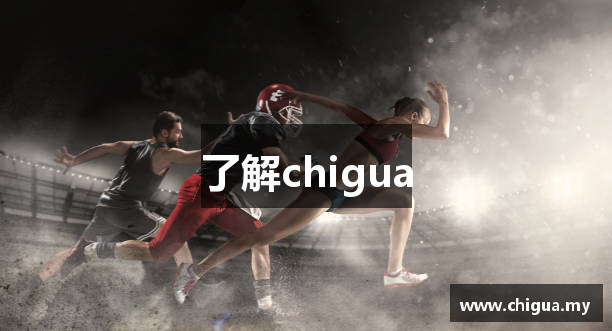 了解chigua